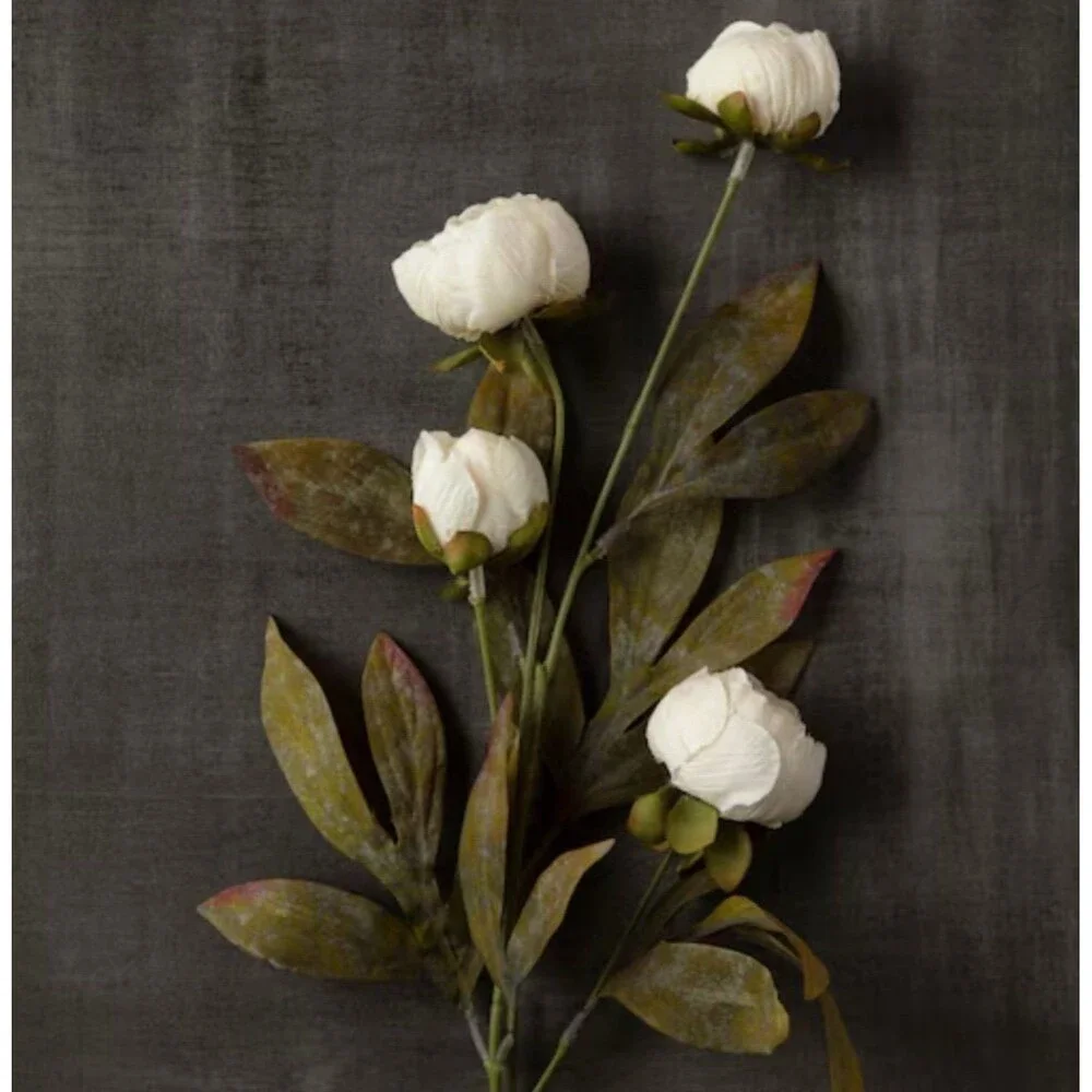 Viral Ashland Cream Peony Stem Michael’s- Set of 5